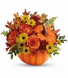 Teleflora's Warm Fall Wishes Bouquet from Arjuna Florist in Brockport, NY